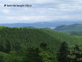 f0150377_23362759.jpg