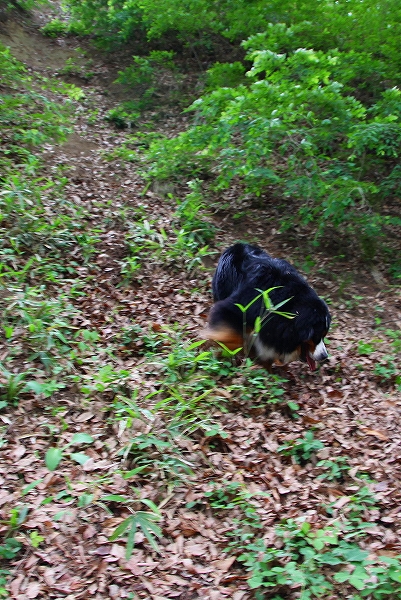 c0149178_21123026.jpg