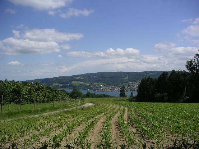 c0188086_21463087.jpg