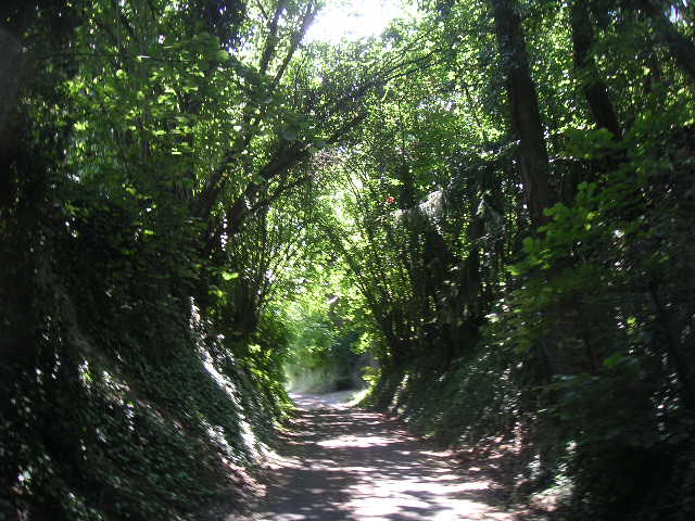 c0188086_2148649.jpg