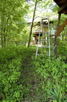 d0028589_222533.jpg