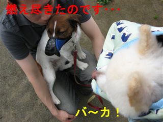 e0121589_22165652.jpg