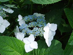 b0104592_14204063.jpg