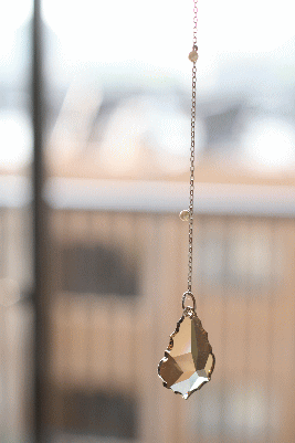 d0100192_2118569.gif