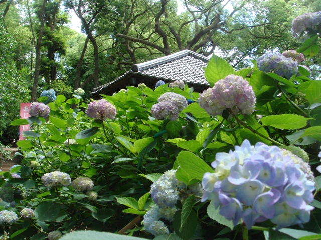 e0111793_2253860.jpg