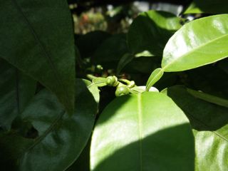 f0130894_12132823.jpg