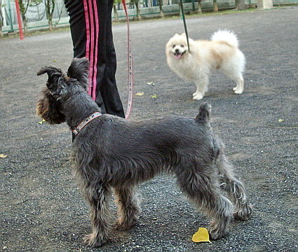 c0138198_1646048.jpg
