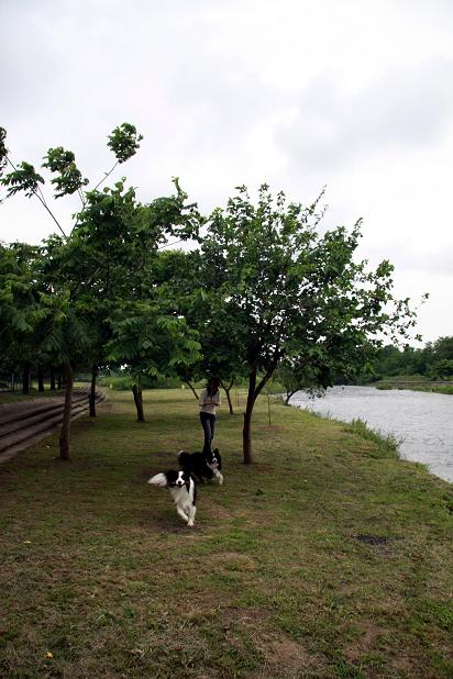 f0034602_2020025.jpg