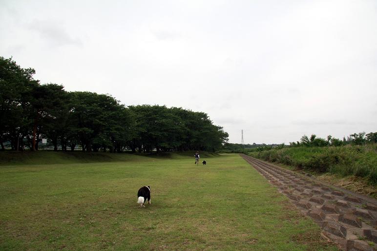 f0034602_20224385.jpg