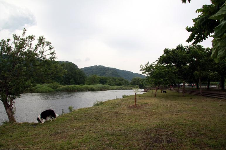 f0034602_20233537.jpg