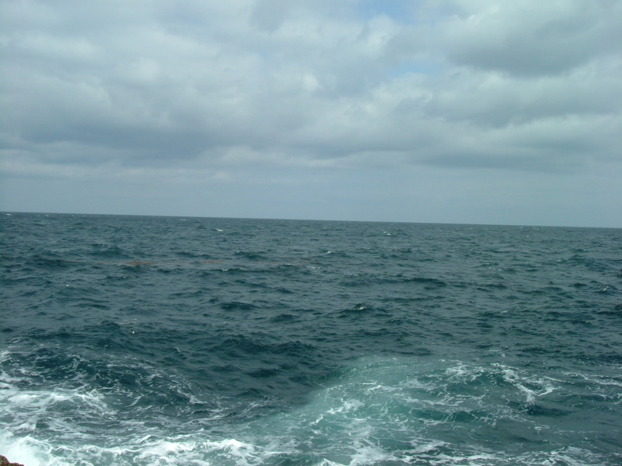 f0035404_21534143.jpg