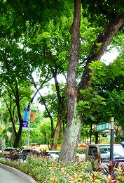 c0148705_1735190.jpg