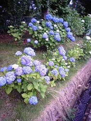 f0048405_11182498.jpg