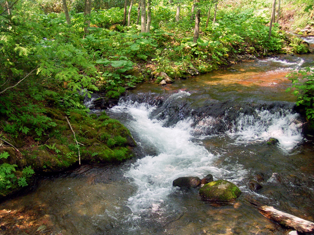 d0051707_2118224.jpg