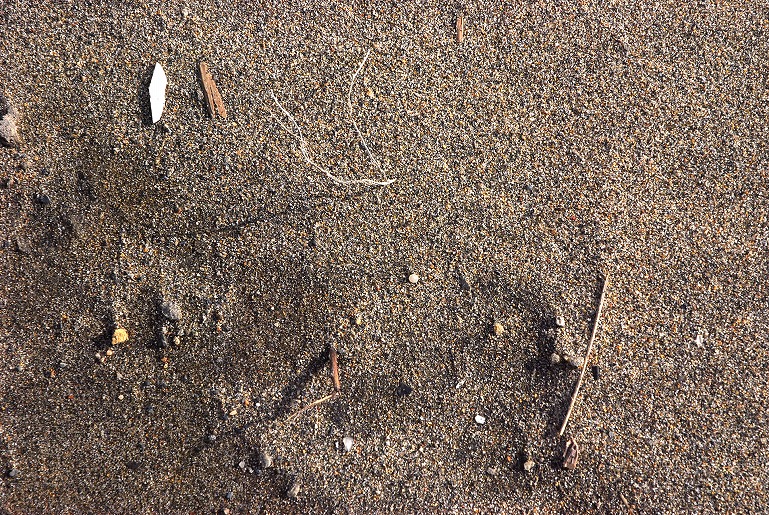 b0128609_20595741.jpg