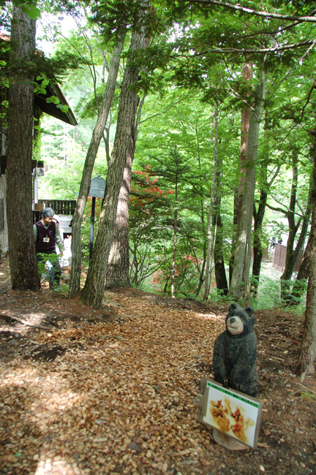 e0082110_16443011.jpg