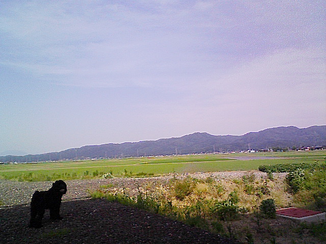 d0126011_18131457.jpg