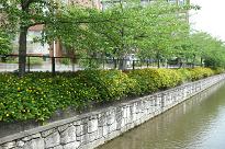 b0167519_9131953.jpg
