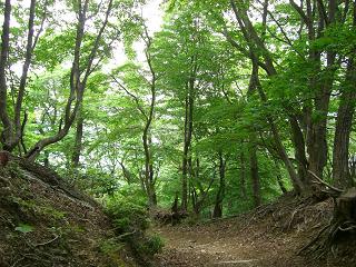 a0089120_23405991.jpg