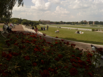 b0169024_5512724.jpg