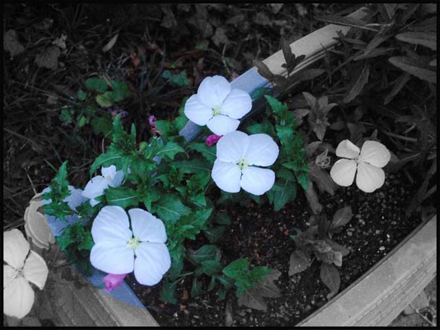 d0029829_2210174.jpg