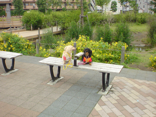 c0117831_19362910.jpg