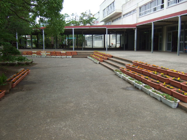 e0069234_15351412.jpg
