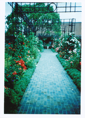 c0165137_0553499.jpg