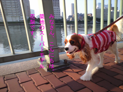 a0120944_12113274.jpg