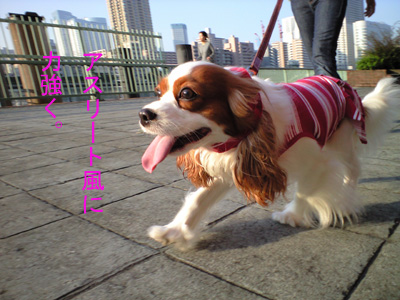 a0120944_12152027.jpg