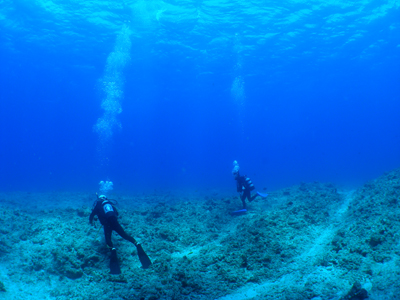 d0065247_17483247.jpg