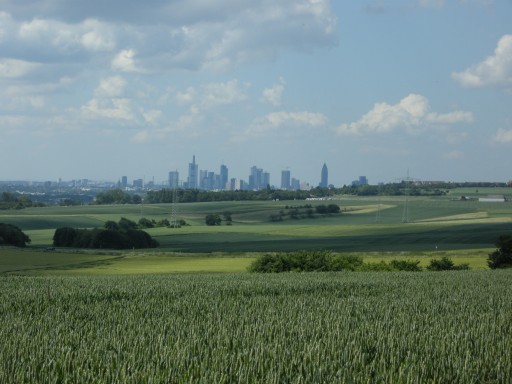 a0089754_8352679.jpg