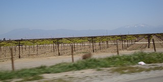 c0185058_12104367.jpg