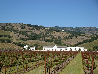 c0185058_12411060.jpg