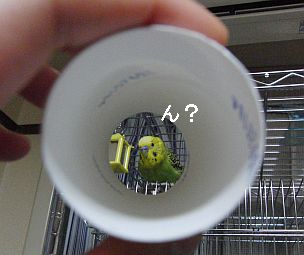 f0196665_0235594.jpg