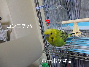 f0196665_031515.jpg