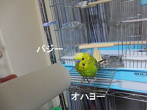 f0196665_0345230.jpg