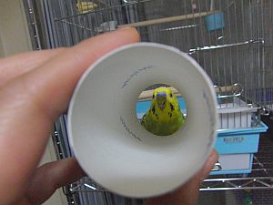 f0196665_0374216.jpg