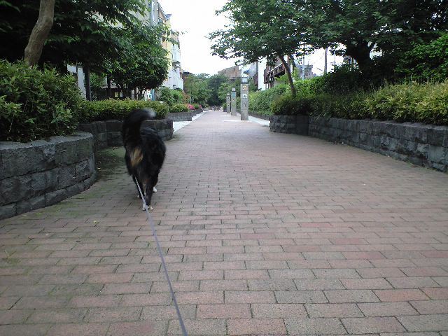 c0177668_212579.jpg