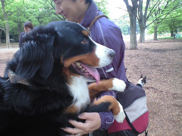 c0177668_2136763.jpg