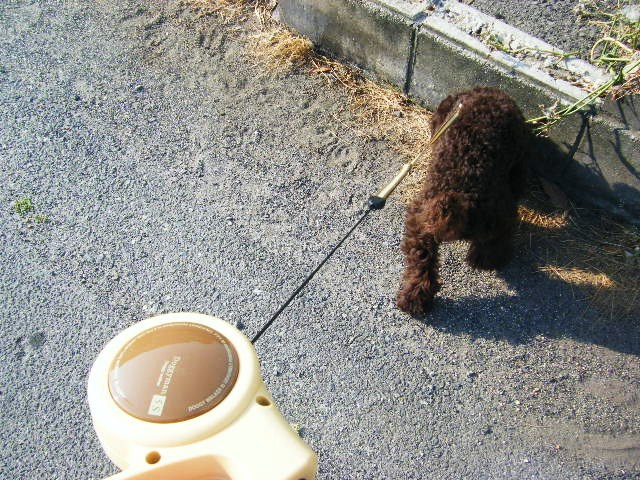 f0207970_748687.jpg