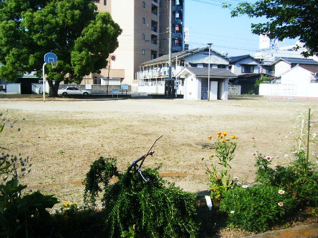 f0207970_7513791.jpg