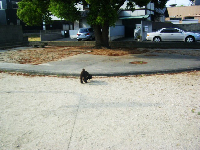 f0207970_7563257.jpg