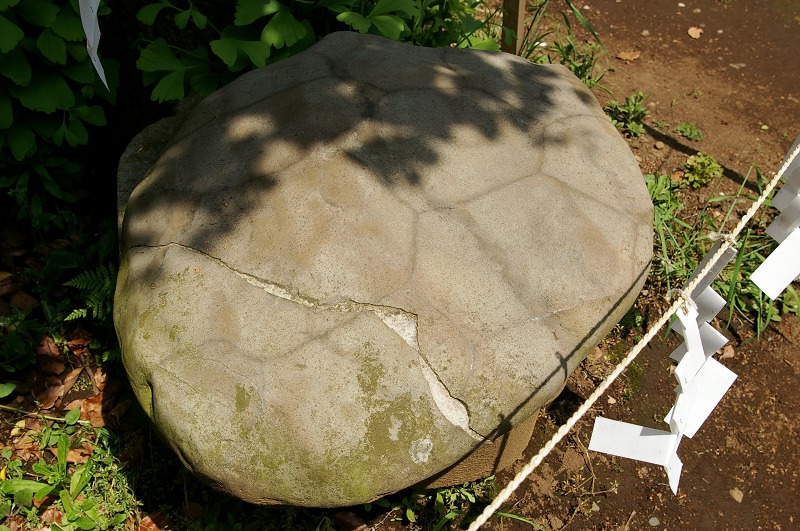 d0031171_1822751.jpg
