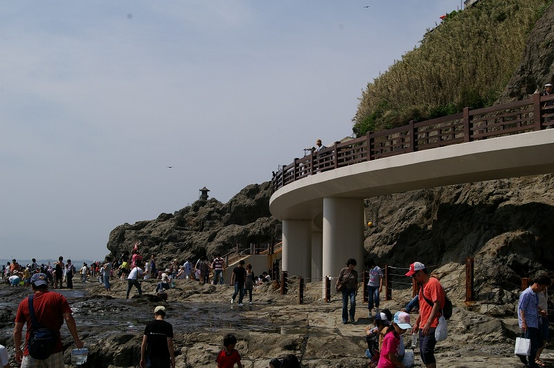 d0031171_182591.jpg