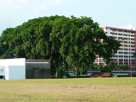 a0002177_12244561.jpg