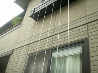 c0157378_15485040.jpg