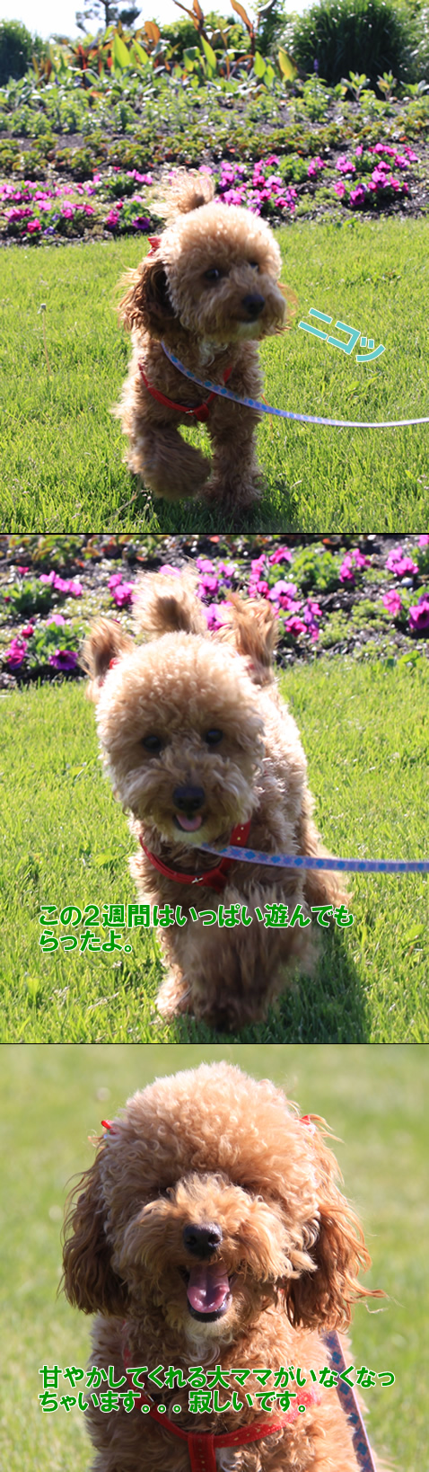 c0164491_11311663.jpg