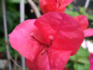 b0104592_14401737.jpg