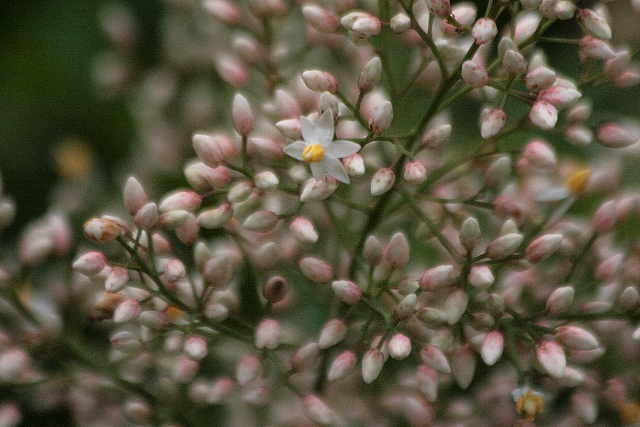 d0133693_2001126.jpg